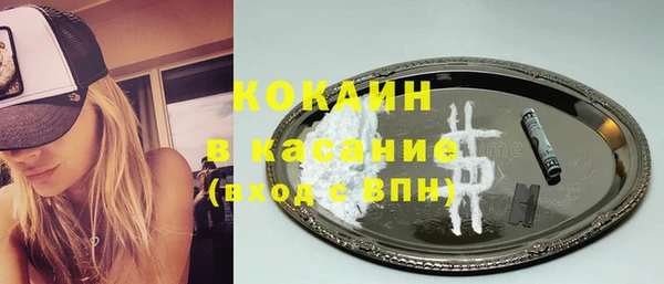 индика Балабаново