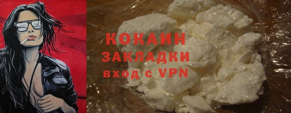 индика Балабаново