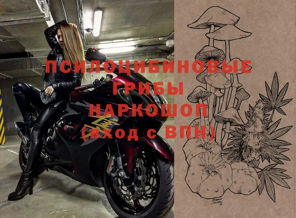 герыч Арсеньев