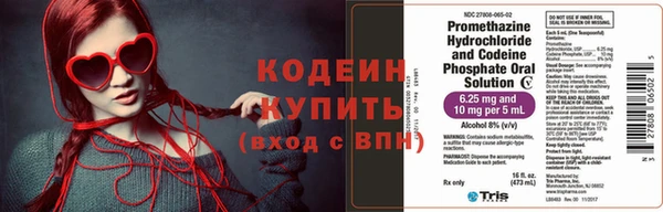 гашик Снежногорск