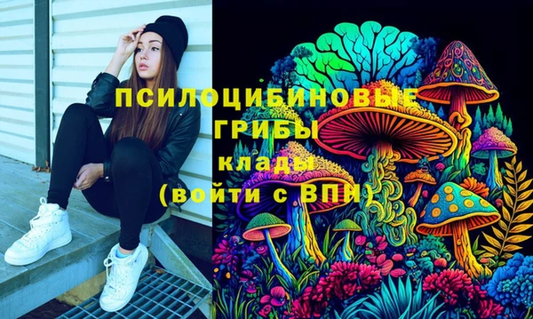 герыч Арсеньев