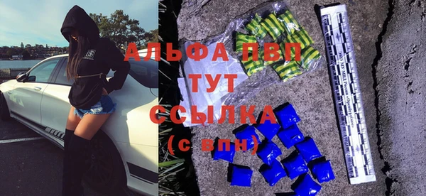 индика Балабаново
