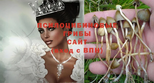 герыч Арсеньев