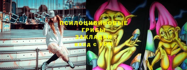 спиды Аркадак